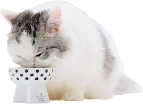 Necoichi Raised Stress Free Cat Food Bowl, Elevated, Dishwasher and Microwave Safe, Cat Dots, Mini