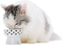 Necoichi Raised Stress Free Cat Food Bowl, Elevated, Dishwasher and Microwave Safe, Cat Dots, Mini