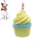 Lanco Handmade Dog Birthday Cake Toy - Squeaky Gift for Small Medium Large Dogs - 100% Natural Rubber