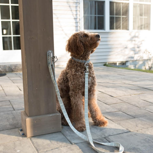 Dog Leash Hitch Parking Hook, Heavy Duty Wall-Mount Stainless Steel Tie Out, Leash Holder for Wall, Mounting Hardware