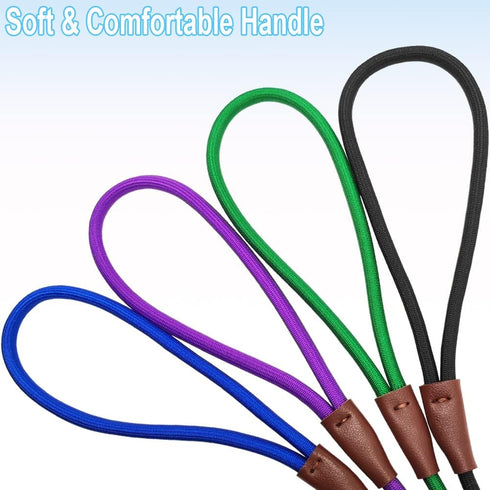Small Dog Leash | 1/4" by 6/8/10 FT Lightweight Strong Nylon Rope | Bright Classic Leash for Small Pets
