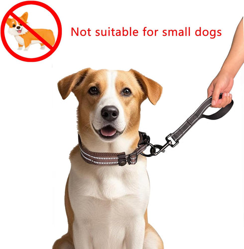 Heavy Duty Short Dog Leash with Comfortable Padded Handle - Reflective Training Leash for Medium Large Dogs Up to 80lbs