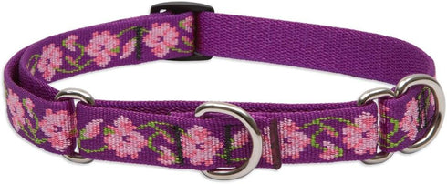LupinePet Originals Martingale Collar, 3/4" Rose Garden, 10-14" for Small Dogs
