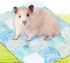 POPETPOP Rabbits Cooling Mat, Rabbit Cooling Pad: 2Pcs Hamster Cooling Mat for Summer Self Cooling for Rabbit, Bunny,