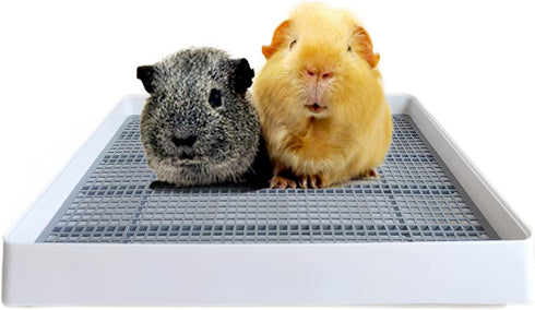 PODOO Rabbit Litter Box Training Potty Tray for Guinea Pig & Small