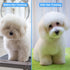 6 in 1 Professional Stainless Steel Safety Round Tip Dog Grooming Scissors, Anti-Rust Pet Kit