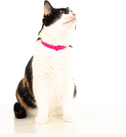Breakaway Cat Collar, Soft Lightweight Safety Buckle Collar with Name Tag Ring, Pink