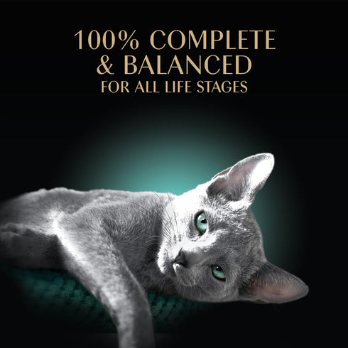 2.6 oz. Twin-Pack (24 Count, 48 Sheba Perfect Portions Wet Cat Food Pate Tender Beef Entree, Trays, Cat Food Wet Recipe