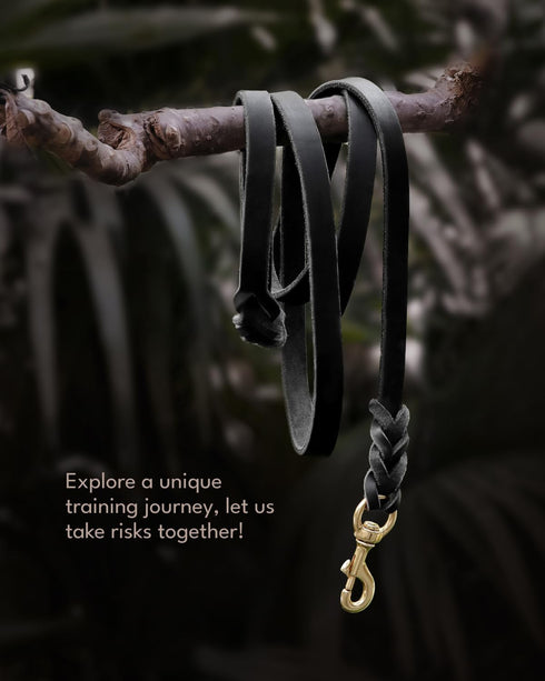 FAIRWIN Leather Dog Leash 6 Foot - Braided Military Grade Heavy Duty for Large Medium Small Dogs Training and Walking