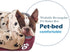 Barelove Pet Dog Bed, Washable Rectangular Pet Basket Bed, Durable Waterproof Fleece Lining for Most Pets (Small, Wine