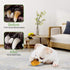 Upgrade Tough Dog Toys for Aggressive Chewers, Indestructible Interactive Chew Toys for Large Small Dogs