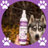 Natural Waterless Bath Spray for Dogs, Calming Lavender, 8oz