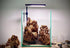 Unocho Dragon Stone Rock - 10 LB Aquariums Decoration for Aquascaping and Landscaping