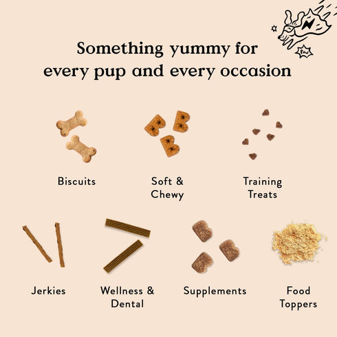 Bocce's Bakery by The Fire Assorted Treat Bundle for Dogs - Wheat-Free Everyday Dog Treats, All-Natural Soft & Chewy