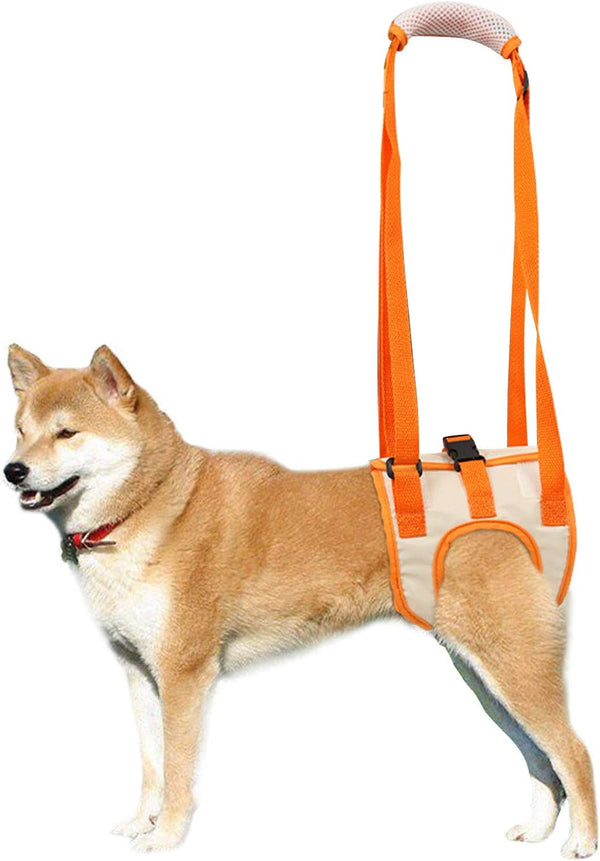 ROZKITCH Dog Lift Harness, Pet Rear Support Aid | Veterinarian Approved Sling for Old K9 Joint Injury Rehabilitation
