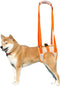 ROZKITCH Dog Lift Harness, Pet Rear Support Aid | Veterinarian Approved Sling for Old K9 Joint Injury Rehabilitation