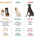 Herm Sprenger Prong Collar for Dog Training, Chrome Plated Steel, 2.25mm Prongs, Small Dogs (14-19")