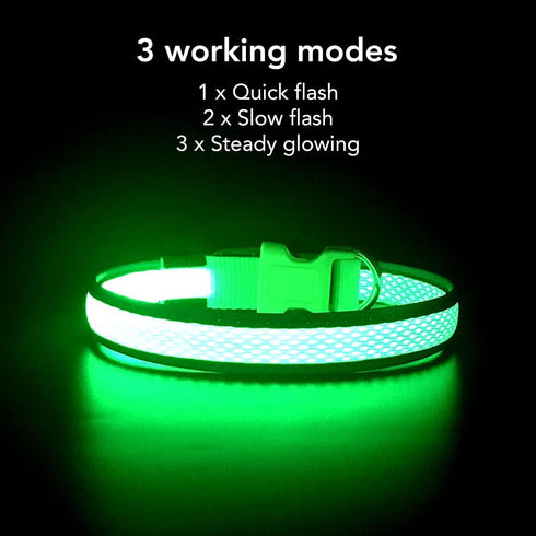 YFbrite Light up Dog Collar, USB Rechargeable LED Puppy Collar for Night Walking (Green, Large)