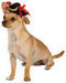 Rubies Pirate Pet Hat for Dogs or Cats, Size S/M