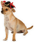 Rubies Pirate Pet Hat for Dogs or Cats, Size S/M