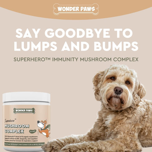Immune Support Mushroom Powder for Dogs, Organic Mushroom Complex for Immunity and Longevity - 90 Scoops