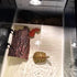 Flushbay Turtle Floating Basking Platform, Aquarium Decorations with Suction Cups for Tortoise Climbing