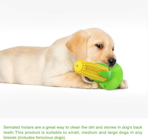 Carllg Puppy Teething Chew Toys, Corn Stick Tough Dog Chew Toys for Training and Teeth Cleaning, Squeaky Toothbrush