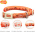 LaRoo Waterproof Dog Collar, Heavy Duty PVC Pet Collars for Training, Cool Design for Outdoor Playing