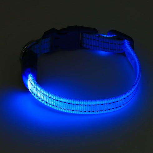 Candofly Light Up Dog Collar, USB Rechargeable Glowing Puppy Collar for Night Walking, X-Small, Blue
