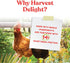 Manna Pro Harvest Delight - Whole Ingredient Chicken Treat - Harvest Mix, 2.25 lbs
