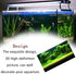 3D Prints Underwater Background Decor for Fish Tank, Aquarium Wallpaper Poster
