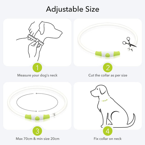 LED Light Up Dog Collar, USB Rechargeable TPU Glow Safety Collar for Large Medium Small Dogs (Green)