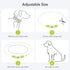 LED Light Up Dog Collar, USB Rechargeable TPU Glow Safety Collar for Large Medium Small Dogs (Green)