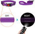 Reflective Dog Collar and Leash Set - Adjustable Nylon Pet Collars for Small Medium Large Dogs (Purple, S)