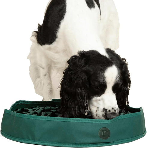 Reggie Snuffle Mat for Dogs, for Calming Support, Reducing Speed Eating, and