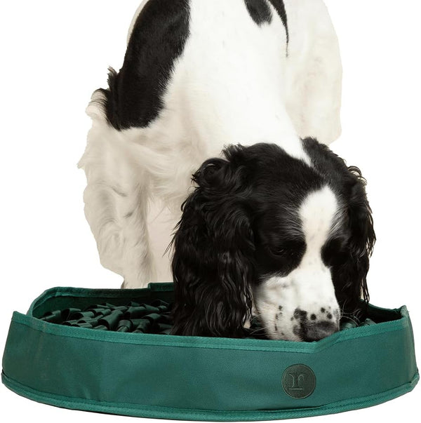 Reggie Snuffle Mat for Dogs, for Calming Support, Reducing Speed Eating, and