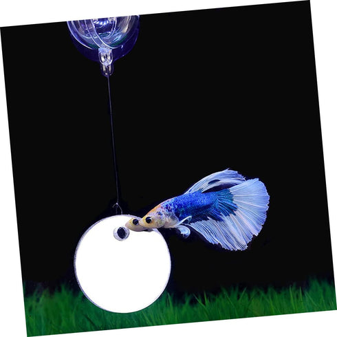 Beta Fish Tank Accessories Set, 1 Betta Training Mirror Double Sided Acrylic Float 6cm