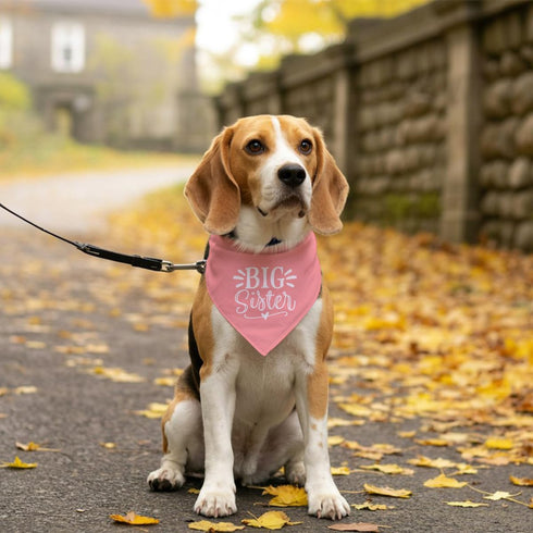 ZPPRJF Big Sister Dog Bandana, Pink Pet Dog Scarf Accessories, Pet Triangle Scarf for Small Medium Dogs, Baby
