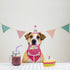 BINGPET Dog Birthday Bandana Set with Cake and Balloon, Party Supplies for Large Dogs, Pink