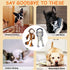 Rope Dog Toys for Small Dogs, Tug of War Toys, Squeaky Toys to Keep Them Busy, Interactive for Aggressive Chewers