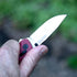 G10 G10 D2 SOG Terminus XR Daily Carry Rugged EDC Ambidextrous Pocket Folding Knives | Handle | Wear-Resistant Steel