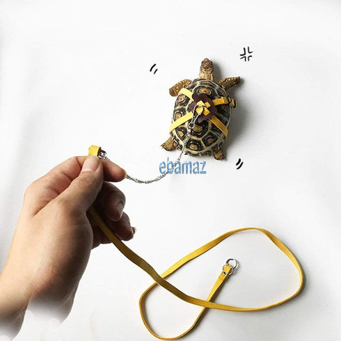 Leather Harness Strap for Tortoise/Turtle Pet Walking Lead Control Rope, Chest Collar (M)