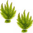 Swimming Creatures Live Aquarium Plants (2 Large Bunch Hornwort)