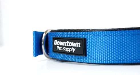 Downtown Pet Supply Deluxe Padded Adjustable Dog Collar - Blue, L - Metal Buckle & D-Ring, Machine Washable & Water