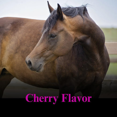 1 SU-PER Chasteberry Supplement for Horses - Supports Hormone Regulation & Healthy Pituitary Gland Function in Mares