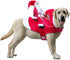 Idepet New Santa Dog Costume, Christmas Pet Clothes Winter Hoodie Coat for Dog, Chihuahua Yorkshire Poodle (2XL)
