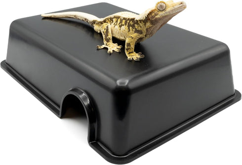 Pangea Reptile Hide Box (C- Medium) in Black