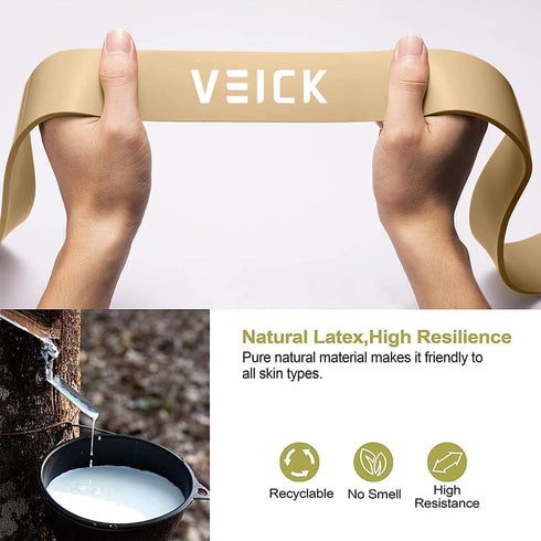 VEICK Resistance Bands Set for Men and Women - Workout Bands for Pull Up Assistance, Home Fitness Equipment