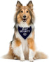 Dark Blue Boat Security Dog Bandana, Funny Triangle Scarf for Small Medium Large Dogs, Dog Boating Accessories (D9)