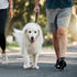 Leather Short Dog Leash, 13 Inch Traffic Lead Leash for Large Dogs Training and Walking